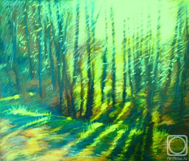 Rudnik Mihkail. Morning Forest