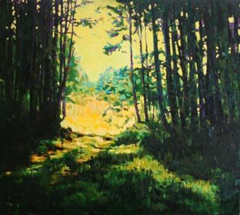 Forest in Gresino