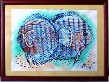 Decorative fish. Sokolova Lyudmila