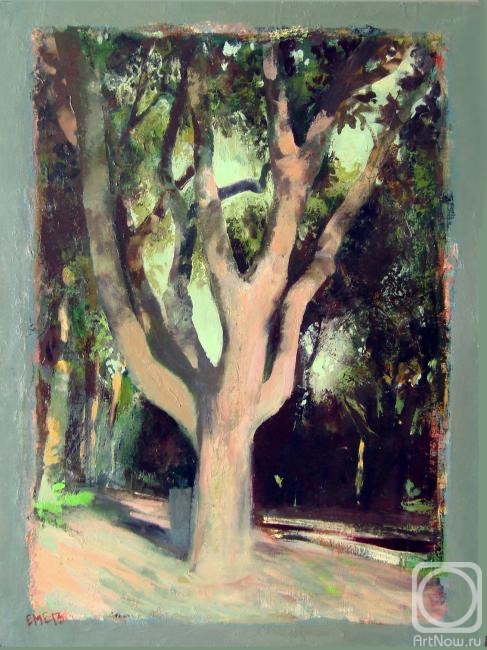 Emelyanova Natalia. Tree portrait