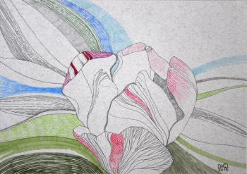 ������� �������� ��������