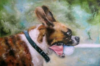 ������� ����������