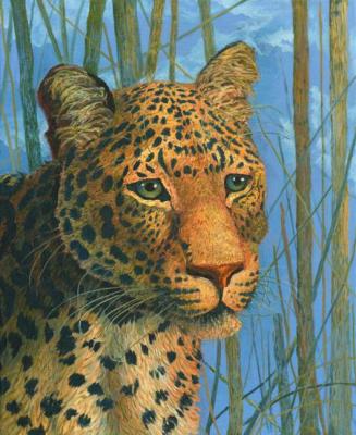 ������� �������� �����