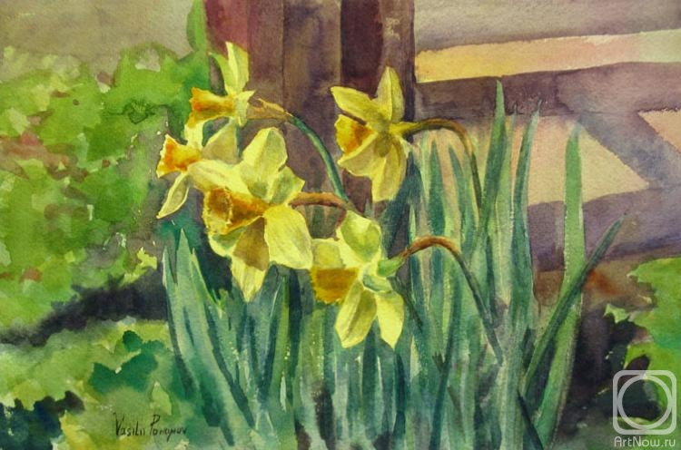 Pohomov Vasilii. Daffodils