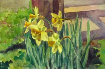 Daffodils. Pohomov Vasilii