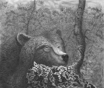 Tired bear (final version). Dementiev Alexandr