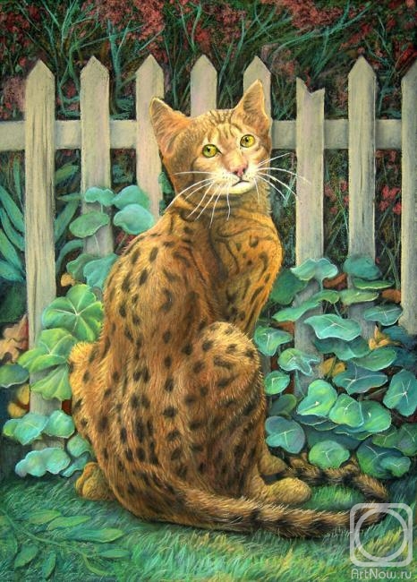 Dementiev Alexandr. Bengal cat