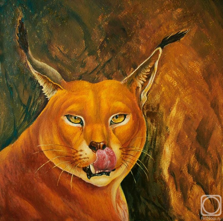 �������. ��������� ���������. ������� ��������