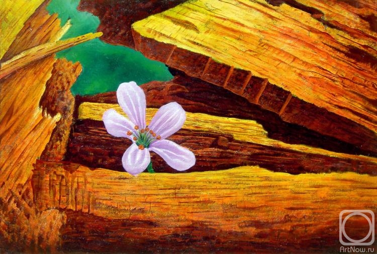 ������� ������ �� ������. ��������� ���������. �������� �������