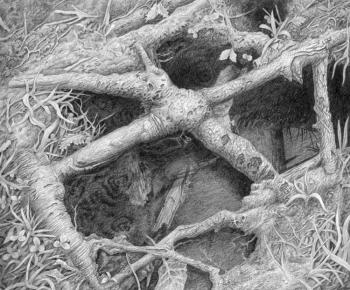 ������. ��������� ���������