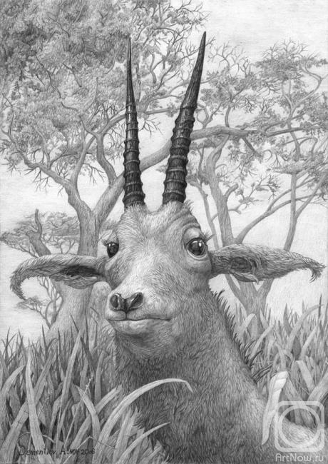 Dementiev Alexandr. Antelope's portrait