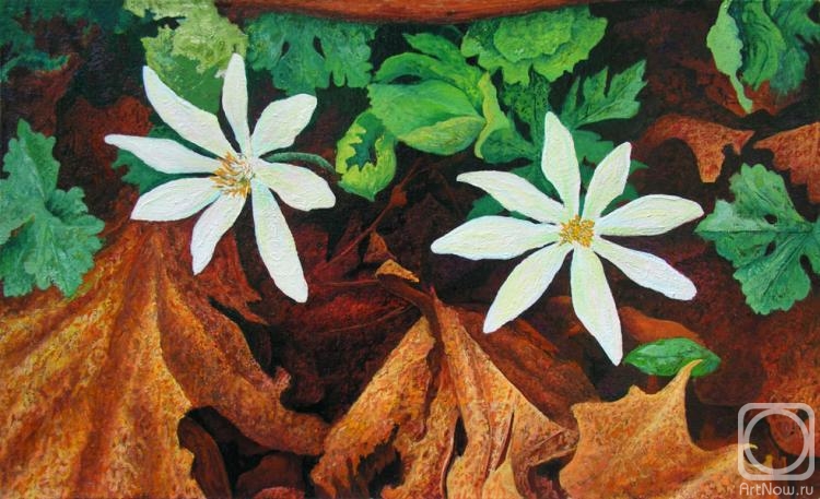 ������� ������ �� ������. ��������� ���������. ����� � ������� �������