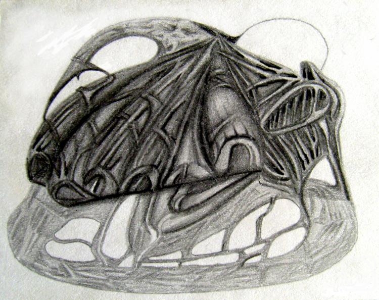 �������. ������� ����. �������