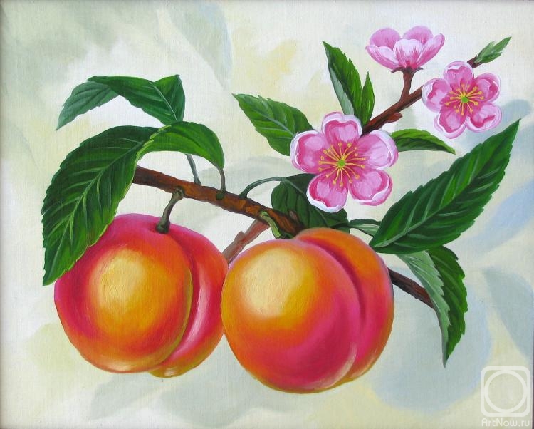 Gorbatenkaia Tatiana. Peach branch