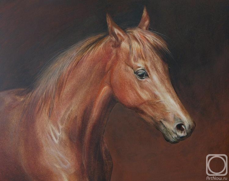 �������. �������� ������. �������