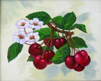 Blossoming branch of cherry. Gorbatenkaia Tatiana