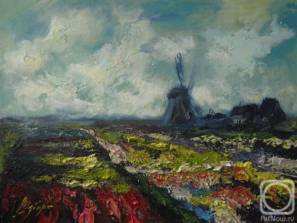 ������� ������ �� ������. ������ ����. �������� ���������