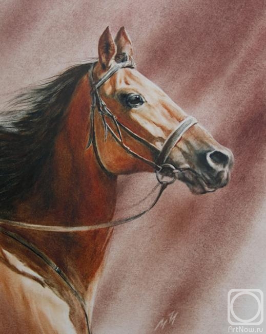 �������. �������� ������. ���������