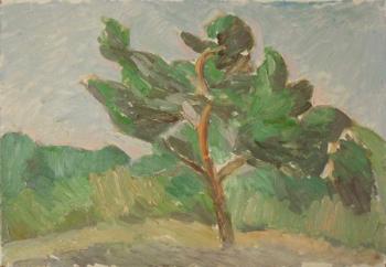 ������� ��������� �����