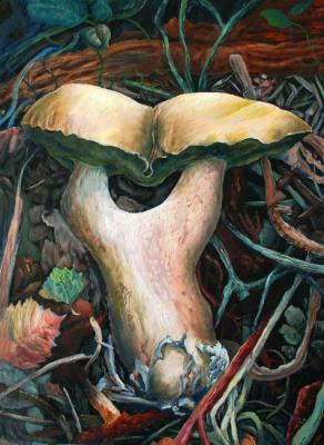 ������� �������� ����