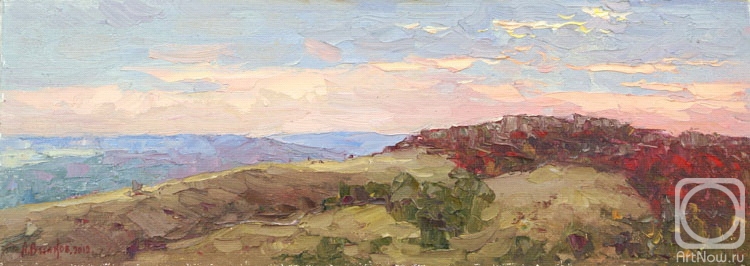 Vikov Andrej. Pink evening