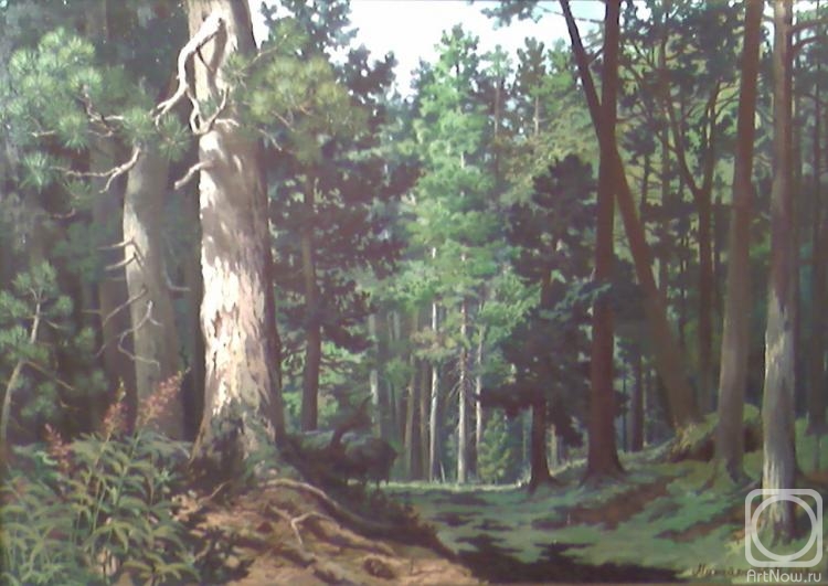 ������� ������ �� ������. ���������� �������. ���� � ����. ������