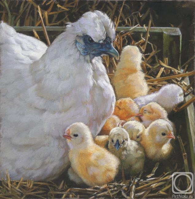 Deynega Tatyana. The hen with chicks