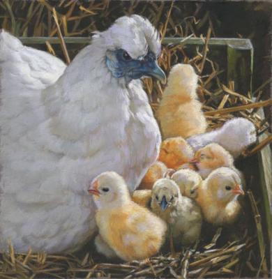 The hen with chicks