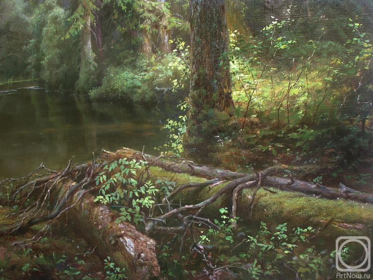 Zaytsev Vitaliy. Whisper ov the wood