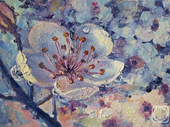 Bakaeva Yulia. Flowering