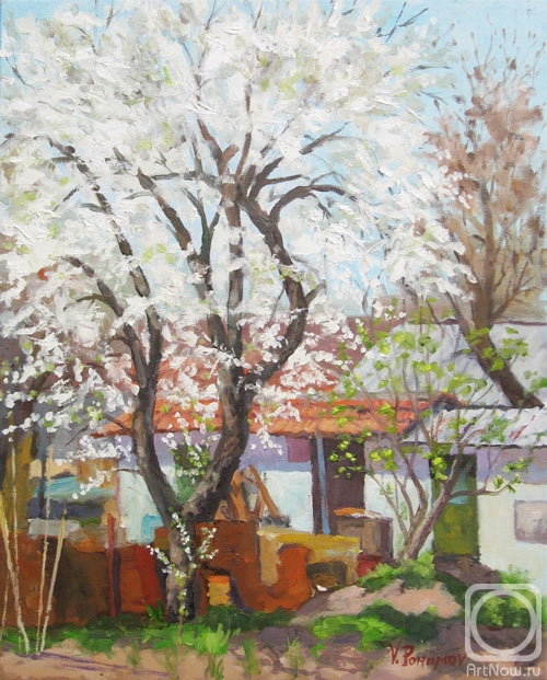 Pohomov Vasilii. Plum tree blooms
