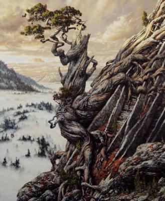 Survival: Pine on the Rock. Rodzin Dmitry