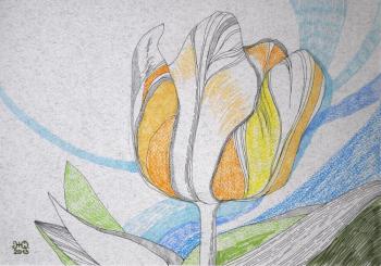 ������� ������� ��������