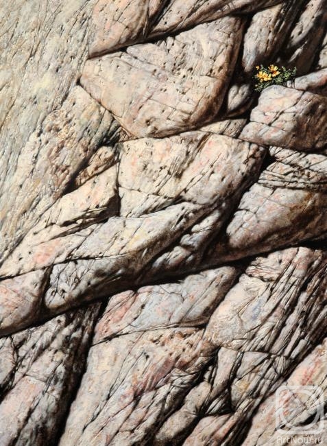 ������� ������ �� ������. ������ �������. �����. �� ����� "���������"