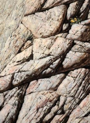 �����. �� ����� "���������". ������ �������