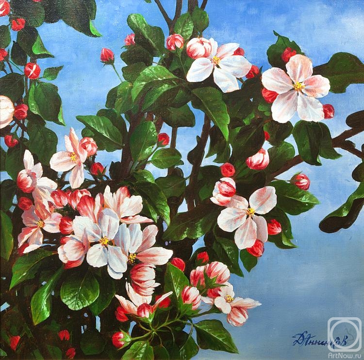 Annenkov Dmitri. Apple tree is blooming