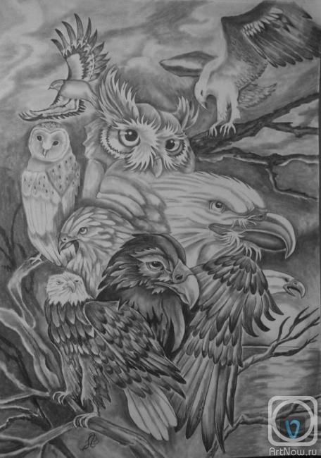 �������. ������� ���������. Owl-������