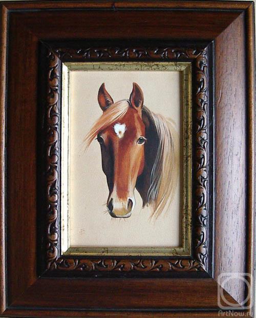 �������. ��������� ����. ������� �1