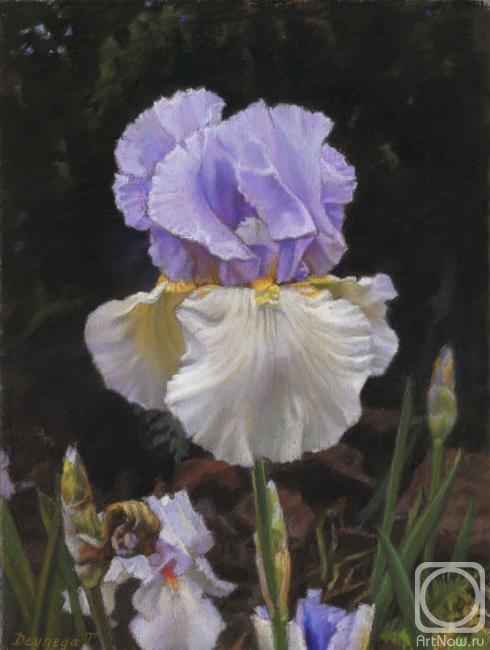 Deynega Tatyana. Fairy Tails of Spring Iris