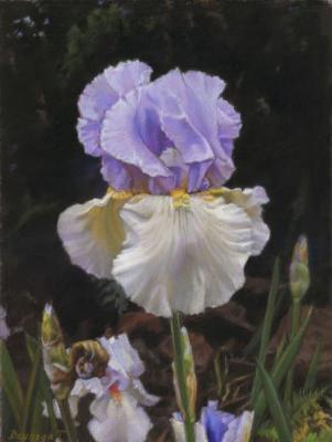 Fairy Tails of Spring Iris. Deynega Tatyana