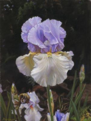 ������� ������� ��������� �����