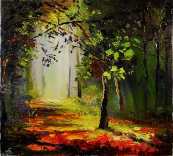 forest path. Stolyarov Vadim