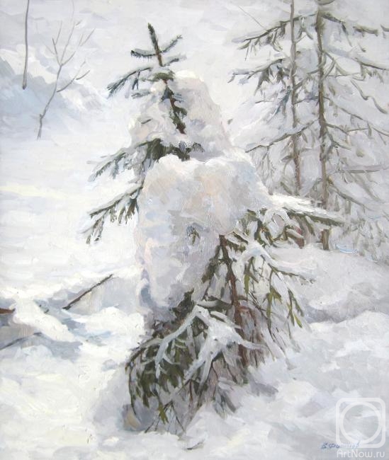 Filippov Vladimir. Spruce under the snow