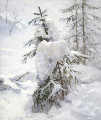 Spruce under the snow (Spruce Under Snow). Filippov Vladimir