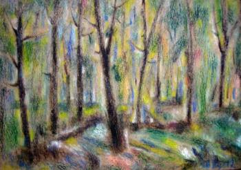 ������� ����