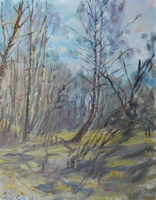 Painting Swamp in the ravine. Dobrovolskaya Gayane