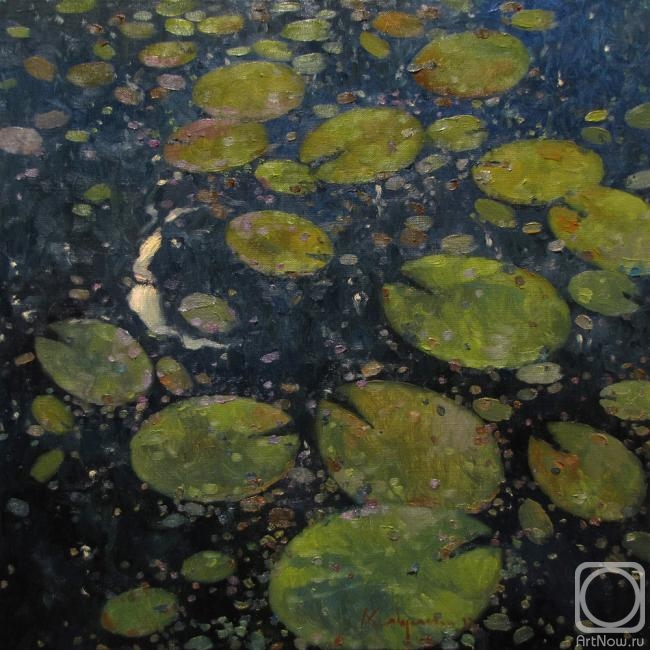 ������� ������ �� ������. �������� �������. ���� ����