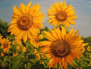 Sunflowers. Panasyuk Natalia