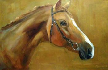 Horse's head. Gerasimova Natalia