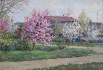 April. Peach blooms. Saprunov Sergey
